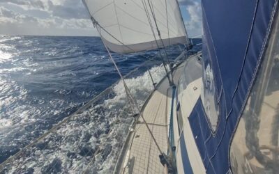 Amalfi, Agropoli, Camerota, Cetraro et Tropea