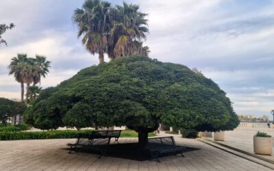 Les Pouilles : Santa Maria di Leuca et Otranto
